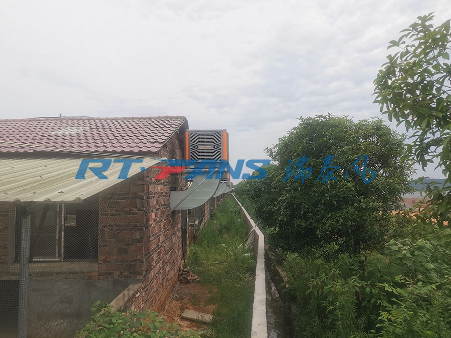 豬場(chǎng)降溫,濕簾冷風(fēng)機(jī),環(huán)?？照{(diào)