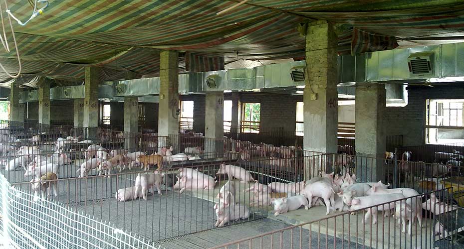 瑞昌環(huán)?？照{(diào)